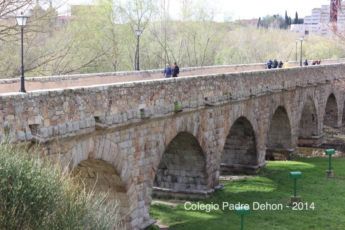 2014 03 22 SALAMANCA PUENTE ROMANO (2)